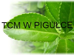 Przepis na cerę bez trądziku według Chińskiej Medycyny!