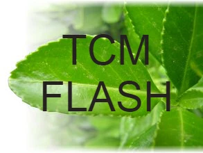 Cold Hands and Feet: TCM Tips for Circulation and Warmth