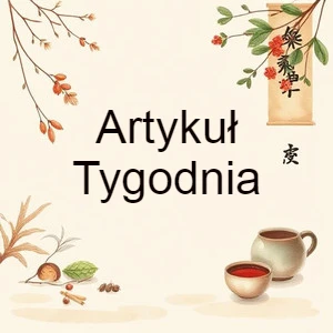 Jak dbać o nerki według TCM-Praktyczne Porady